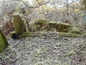 Ballyalton Court Tomb