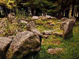Ballyedmonduff Wedge Tomb - Giants' grave