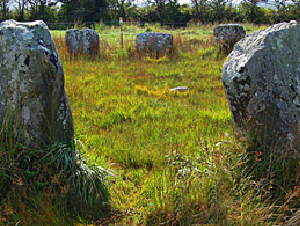 Reanascreena Stone Circle