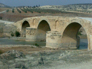 Roman bridge to Cyrrhus