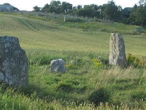 Templebryan Stone Circle - Druid's Temple